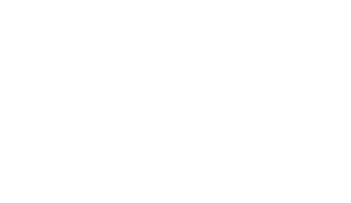 Bridge Masterclass